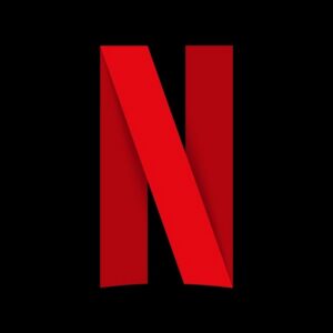 netflix 1 year account private account 4k screens 4 profiles